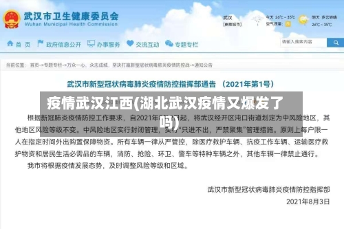 疫情武汉江西(湖北武汉疫情又爆发了吗)-第3张图片