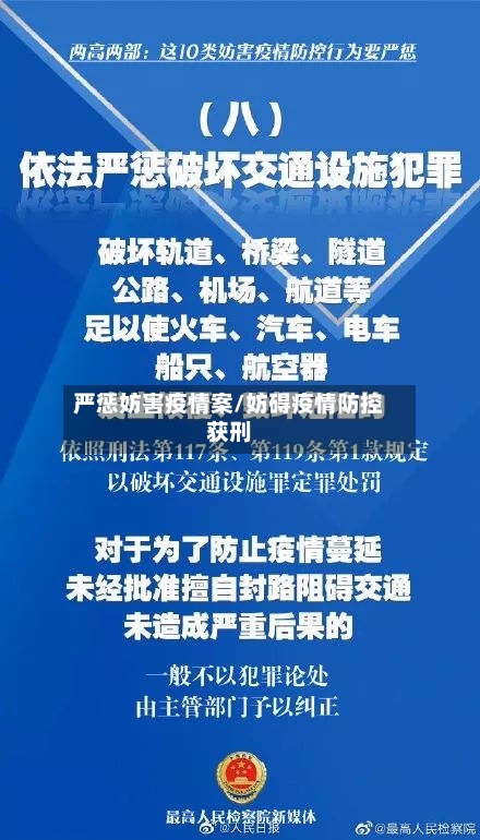 严惩妨害疫情案/妨碍疫情防控获刑-第2张图片