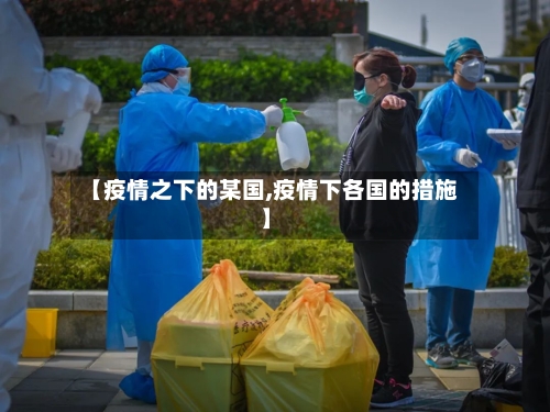 【疫情之下的某国,疫情下各国的措施】