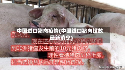 中国进口猪肉疫情(中国进口猪肉投放最新消息)-第2张图片