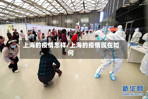 上海的疫情怎样/上海的疫情现在如何