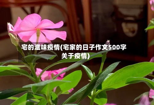 宅的滋味疫情(宅家的日子作文500字关于疫情)