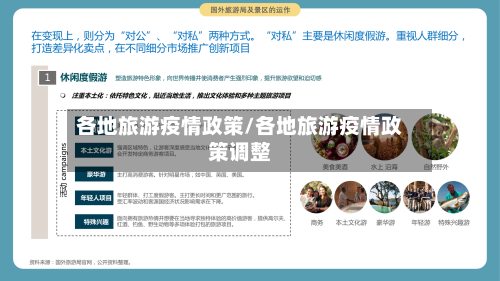 各地旅游疫情政策/各地旅游疫情政策调整