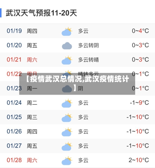 【疫情武汉总情况,武汉疫情统计】