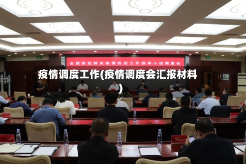 疫情调度工作(疫情调度会汇报材料)-第2张图片