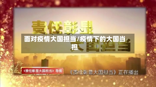 面对疫情大国担当/疫情下的大国当担