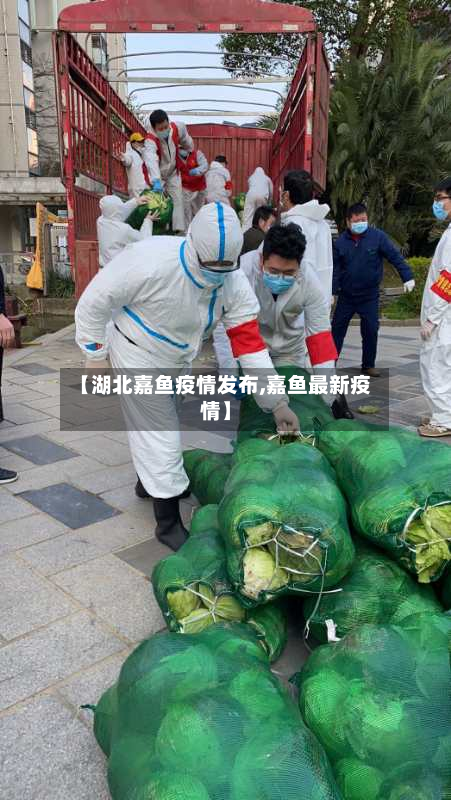 【湖北嘉鱼疫情发布,嘉鱼最新疫情】