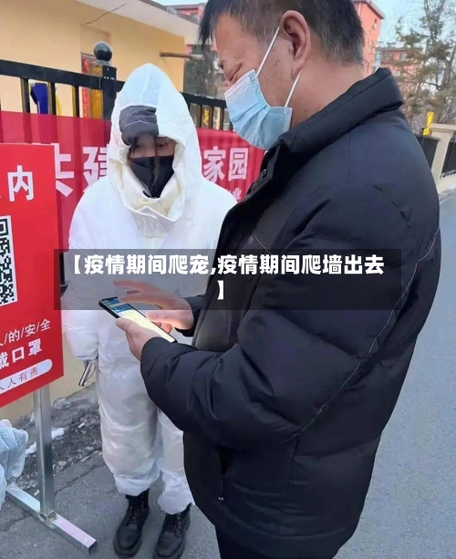 【疫情期间爬宠,疫情期间爬墙出去】