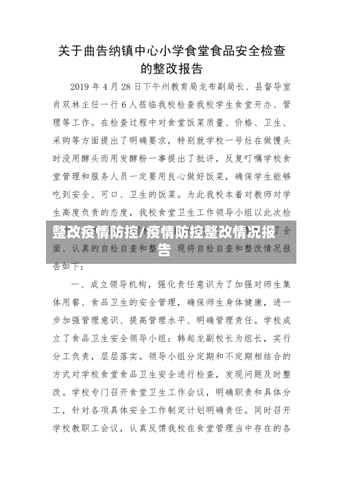 整改疫情防控/疫情防控整改情况报告