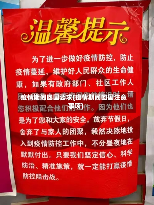 疫情期间回国要求(疫情期间回国注意事项)-第2张图片