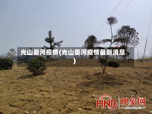 光山晏河疫情(光山晏河疫情最新消息)