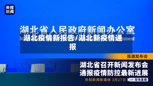 湖北疫情新报告/湖北新疫情通报