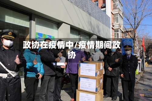 政协在疫情中/疫情期间政协