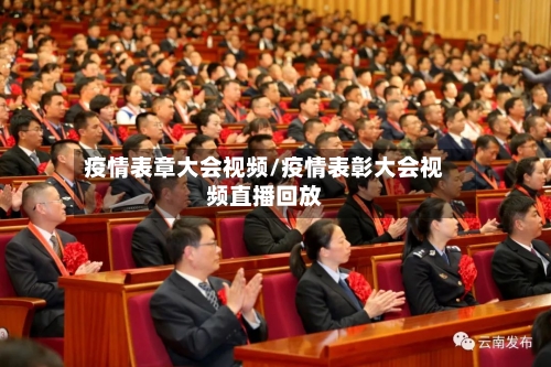 疫情表章大会视频/疫情表彰大会视频直播回放