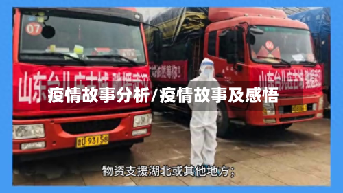 疫情故事分析/疫情故事及感悟