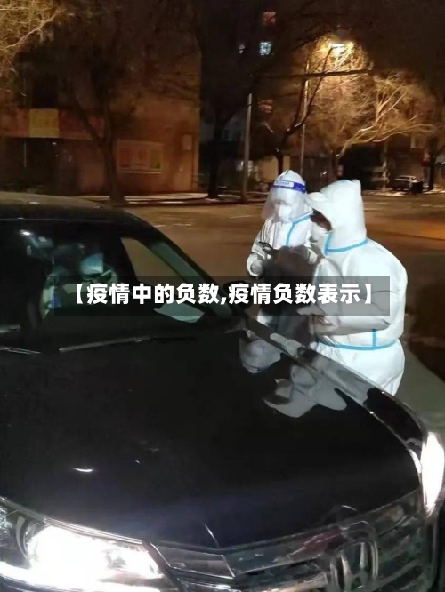 【疫情中的负数,疫情负数表示】-第2张图片
