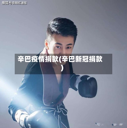 辛巴疫情捐款(辛巴新冠捐款)