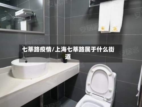 七莘路疫情/上海七莘路属于什么街道