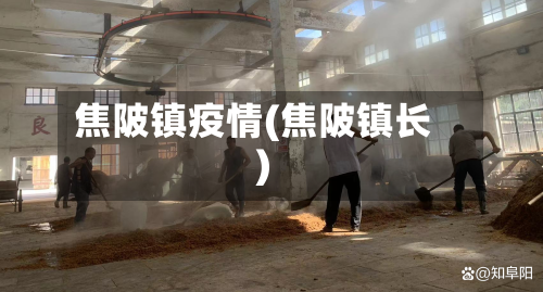 焦陂镇疫情(焦陂镇长)-第2张图片