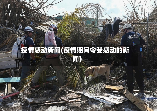 疫情感动新闻(疫情期间令我感动的新闻)-第3张图片