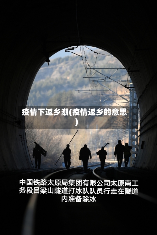 疫情下返乡潮(疫情返乡的意思)-第2张图片