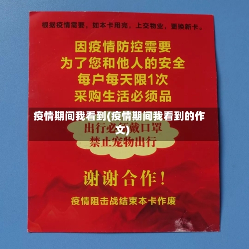 疫情期间我看到(疫情期间我看到的作文)-第3张图片