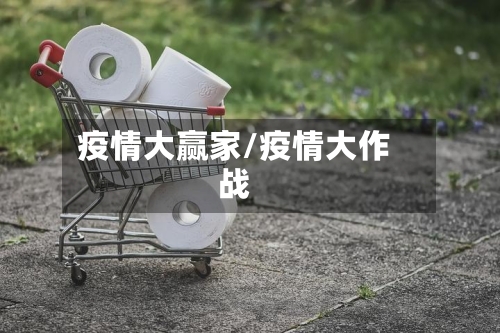 疫情大赢家/疫情大作战-第3张图片