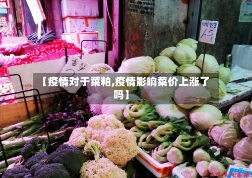 【疫情对于菜粕,疫情影响菜价上涨了吗】-第2张图片