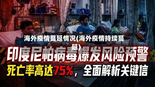 海外疫情蔓延情况(海外疫情持续蔓延)