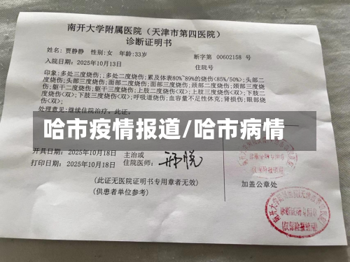 哈市疫情报道/哈市病情