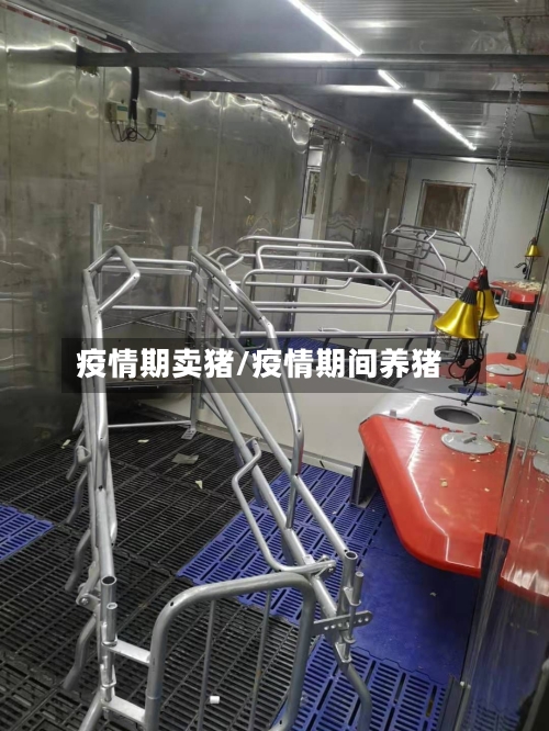 疫情期卖猪/疫情期间养猪-第2张图片