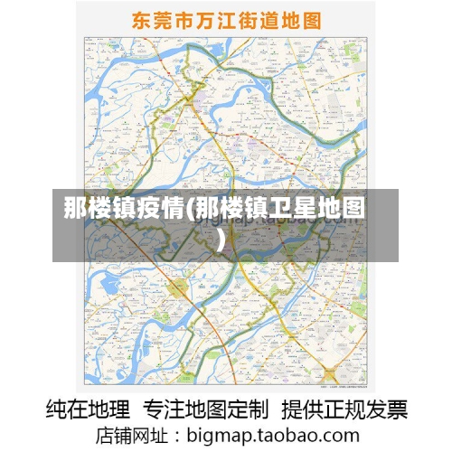 那楼镇疫情(那楼镇卫星地图)