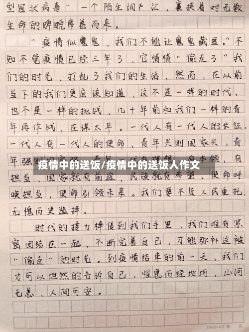 疫情中的送饭/疫情中的送饭人作文