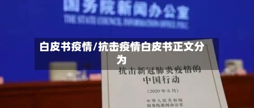 白皮书疫情/抗击疫情白皮书正文分为