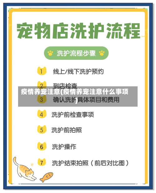 疫情养宠注意(疫情养宠注意什么事项)-第2张图片