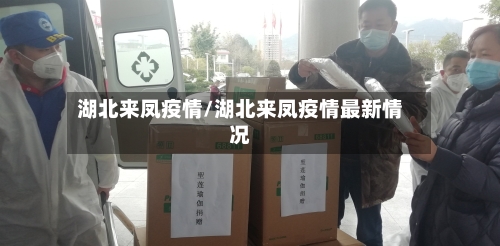 湖北来凤疫情/湖北来凤疫情最新情况-第2张图片