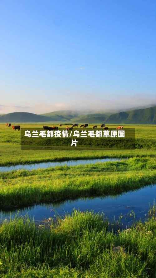 乌兰毛都疫情/乌兰毛都草原图片