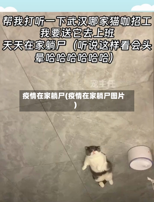 疫情在家躺尸(疫情在家躺尸图片)-第2张图片