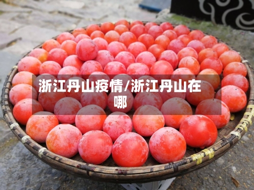 浙江丹山疫情/浙江丹山在哪-第2张图片