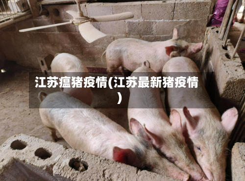 江苏瘟猪疫情(江苏最新猪疫情)-第2张图片