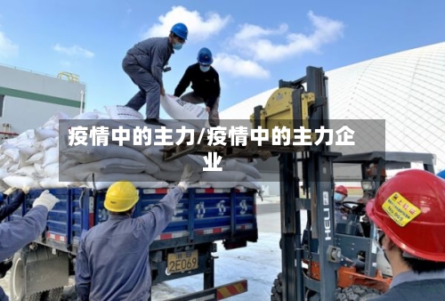 疫情中的主力/疫情中的主力企业
