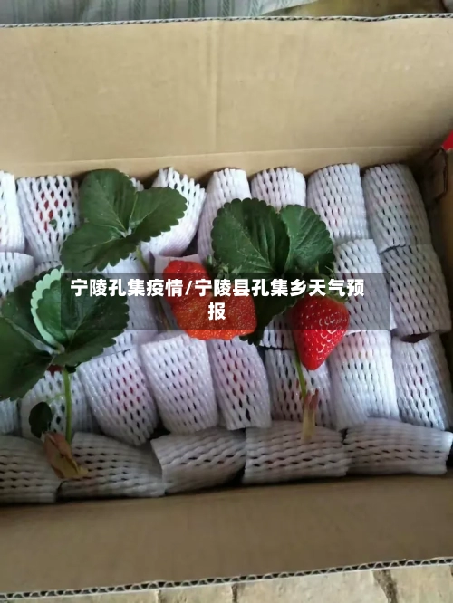 宁陵孔集疫情/宁陵县孔集乡天气预报-第2张图片