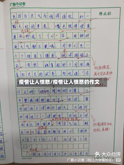 疫情让人愤怒/疫情让人愤怒的作文