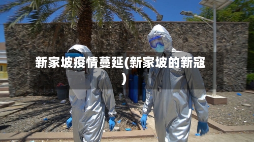 新家坡疫情蔓延(新家坡的新寇)