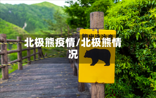 北极熊疫情/北极熊情况-第2张图片