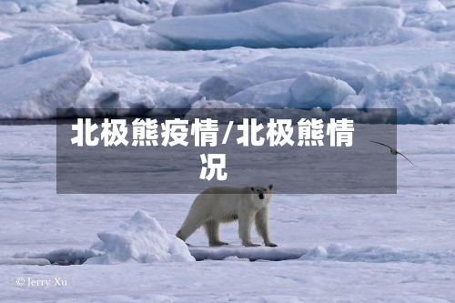 北极熊疫情/北极熊情况-第3张图片