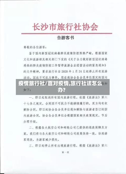 疫情旅行社/面对疫情,旅行社该怎么办?