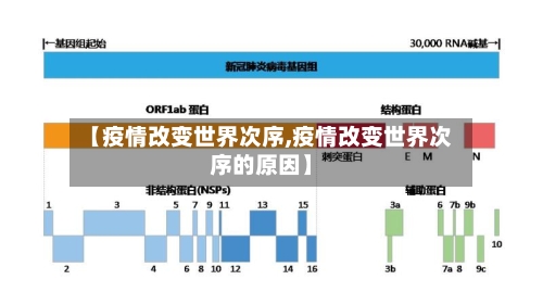【疫情改变世界次序,疫情改变世界次序的原因】-第2张图片