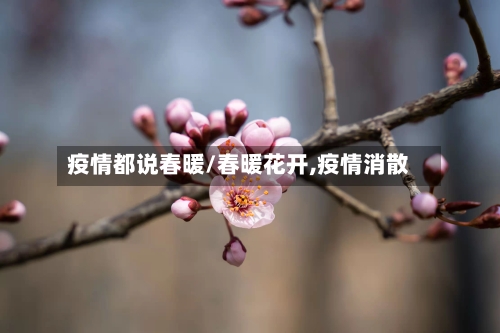 疫情都说春暖/春暖花开,疫情消散