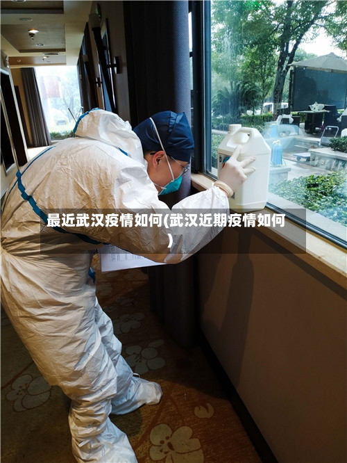 最近武汉疫情如何(武汉近期疫情如何)